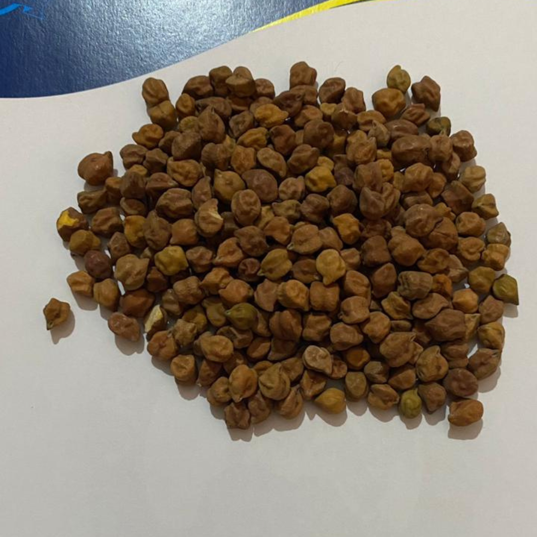 Your paragraph text (13).png